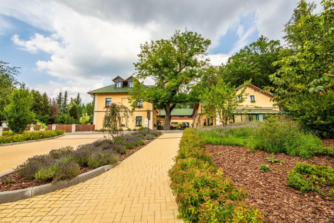 Resort Johanka Kamenice nad Lipou Exteriör bild